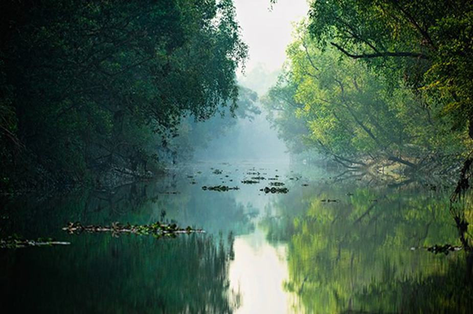 The Sundarbans mangrove forest in southwest Bangladesh.