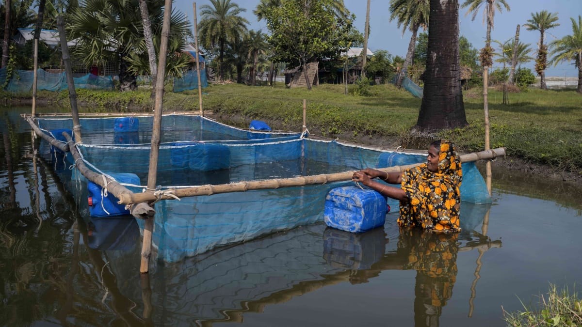 Silent Effects of Climate Change in Bangladesh 6