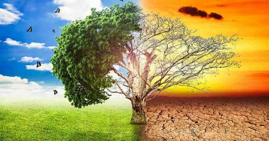 Silent Effects of Climate Change in Bangladesh